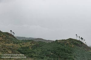 Loch Trool, Galloway Forest Park – Wild Camp #051