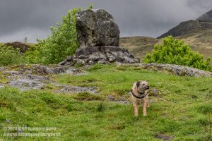 Loch Trool, Galloway Forest Park – Wild Camp #051