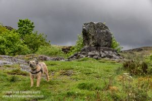 Loch Trool, Galloway Forest Park – Wild Camp #051