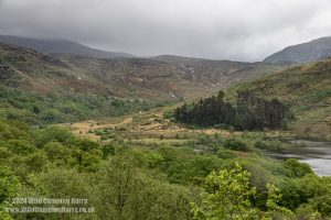 Loch Trool, Galloway Forest Park – Wild Camp #051