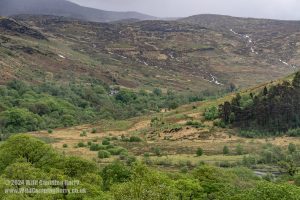 Loch Trool, Galloway Forest Park – Wild Camp #051