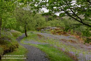 Loch Trool, Galloway Forest Park – Wild Camp #051