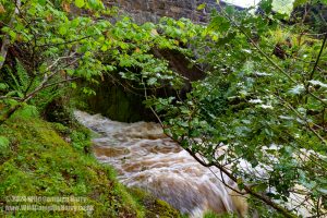 Loch Trool, Galloway Forest Park – Wild Camp #051
