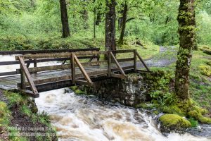 Loch Trool, Galloway Forest Park – Wild Camp #051