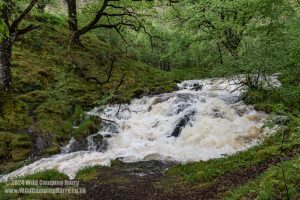 Loch Trool, Galloway Forest Park – Wild Camp #051