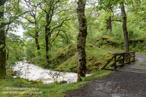 Loch Trool, Galloway Forest Park – Wild Camp #051