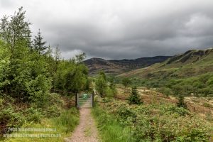 Loch Trool, Galloway Forest Park – Wild Camp #051