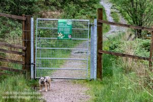 Loch Trool, Galloway Forest Park – Wild Camp #051