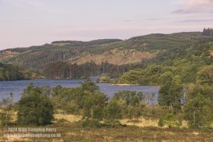 Loch Trool, Galloway Forest Park – Wild Camp #051
