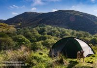 Loch Trool, Galloway Forest Park – Wild Camp #051