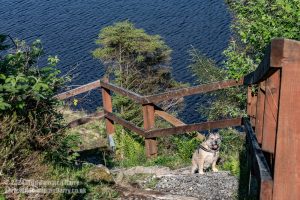 Loch Trool, Galloway Forest Park – Wild Camp #051