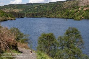 Loch Trool, Galloway Forest Park – Wild Camp #051