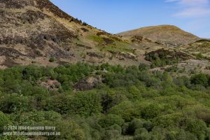 Loch Trool, Galloway Forest Park – Wild Camp #051