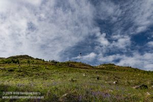 Loch Trool, Galloway Forest Park – Wild Camp #051