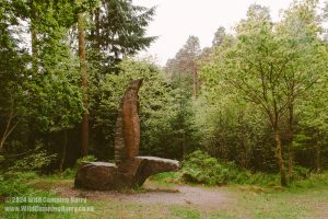 Dalbeattie Forest
