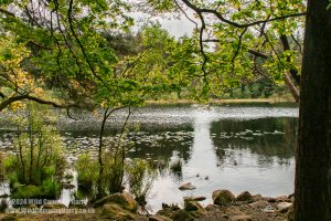 Plantain Loch, Dalbeattie