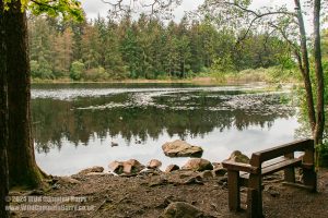 Plantain Loch, Dalbeattie