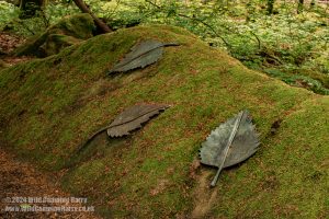 Dalbeattie Forest