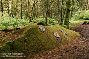 Dalbeattie Forest