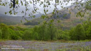 Loch Trool, Galloway Forest Park – Wild Camp #051