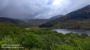 Dsc Loch Trool, Galloway Forest Park – Wild Camp #051