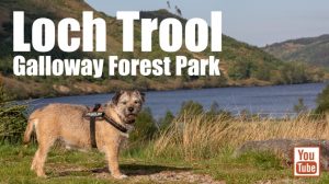 Loch Trool, Galloway Forest Park – Wild Camp #051